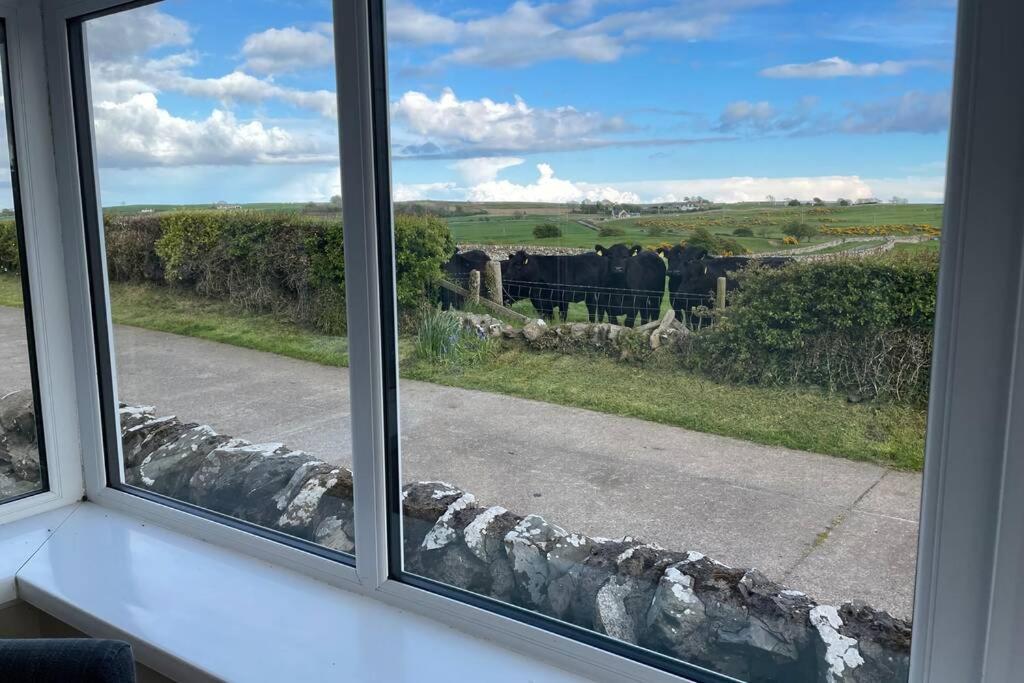 Galloway Farmstay Broughton Newton Stewart Exterior photo